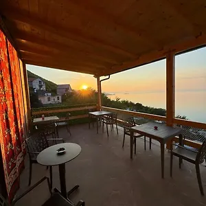 Bujtina E Qilimave Zogaji